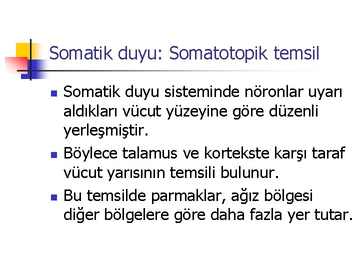Somatik duyu: Somatotopik temsil n n n Somatik duyu sisteminde nöronlar uyarı aldıkları vücut