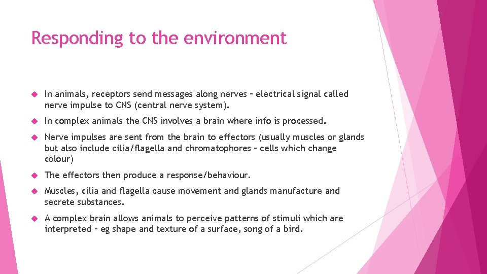 Responding to the environment In animals, receptors send messages along nerves – electrical signal