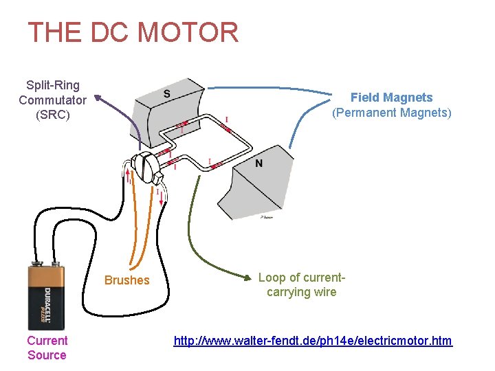 THE DC MOTOR Split-Ring Commutator (SRC) Field Magnets (Permanent Magnets) Brushes Current Source Loop