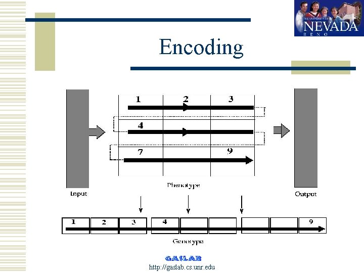 Encoding http: //gaslab. cs. unr. edu 