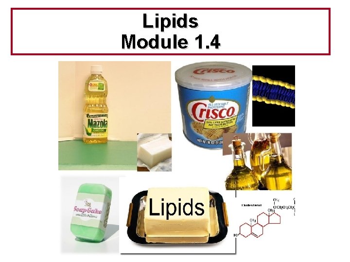 Lipids Module 1. 4 