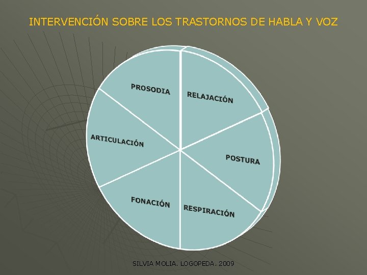 INTERVENCIÓN SOBRE LOS TRASTORNOS DE HABLA Y VOZ SILVIA MOLIA. LOGOPEDA. 2009 