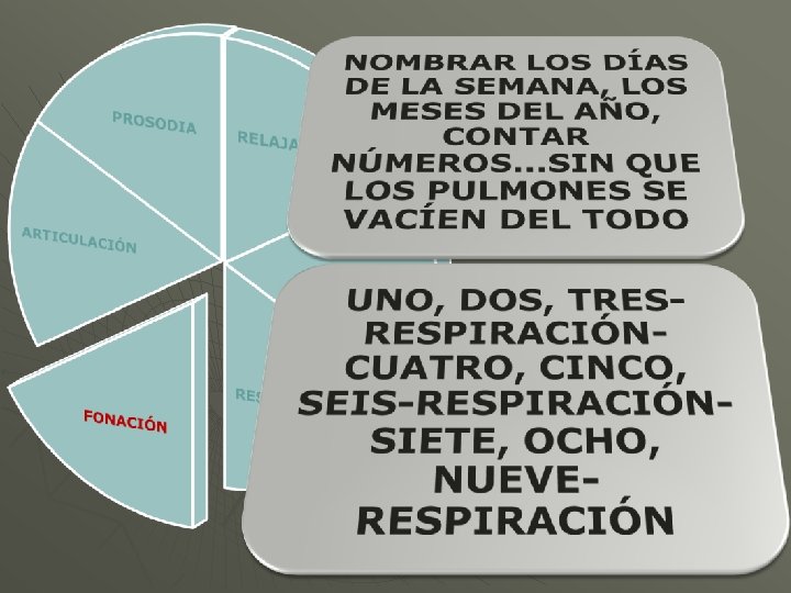 SILVIA MOLIA. LOGOPEDA. 2009 