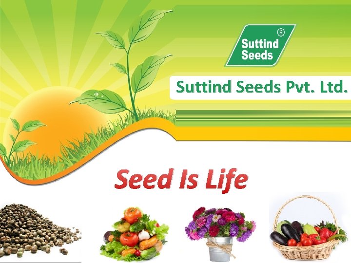 Suttind Seeds Pvt. Ltd. Seed Is Life 