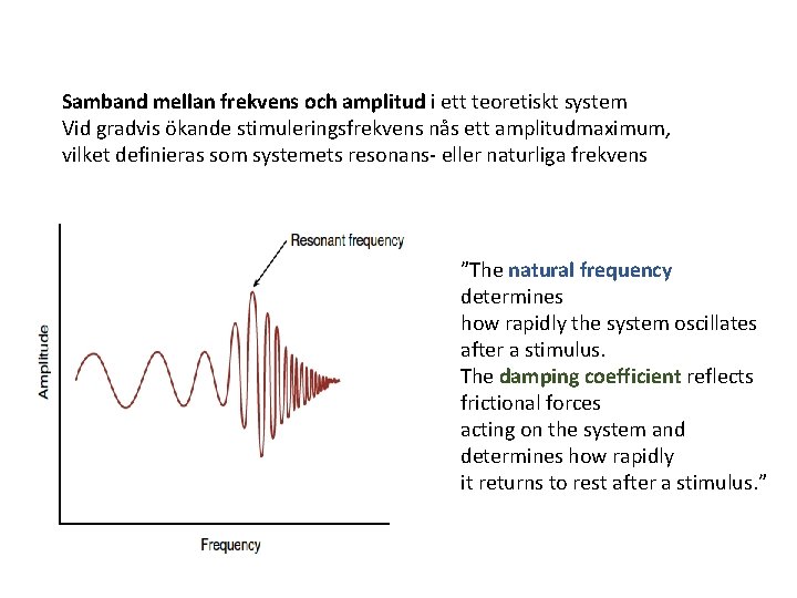 Samband mellan frekvens och amplitud i ett teoretiskt system Vid gradvis ökande stimuleringsfrekvens nås Samband mellan frekvens och amplitud i ett teoretiskt system Vid gradvis ökande stimuleringsfrekvens nås