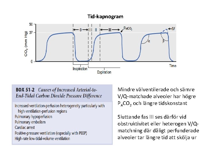 Tid-kapnogram Mindre välventilerade och sämre V/Q-matchade alveoler har högre PACO 2 och längre tidskonstant Tid-kapnogram Mindre välventilerade och sämre V/Q-matchade alveoler har högre PACO 2 och längre tidskonstant