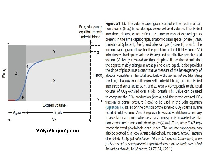 Volymkapnogram Volymkapnogram