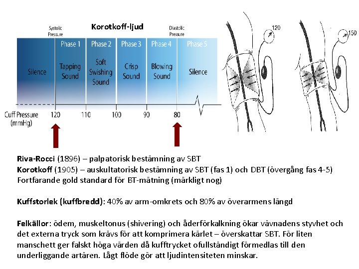 Korotkoff-ljud Riva-Rocci (1896) – palpatorisk bestämning av SBT Korotkoff (1905) – auskultatorisk bestämning av Korotkoff-ljud Riva-Rocci (1896) – palpatorisk bestämning av SBT Korotkoff (1905) – auskultatorisk bestämning av
