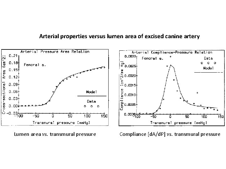 Arterial properties versus lumen area of excised canine artery Lumen area vs. transmural pressure Arterial properties versus lumen area of excised canine artery Lumen area vs. transmural pressure