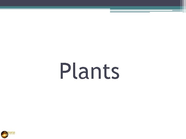 Plants 