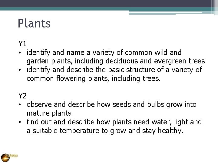 Plants Y 1 • identify and name a variety of common wild and garden