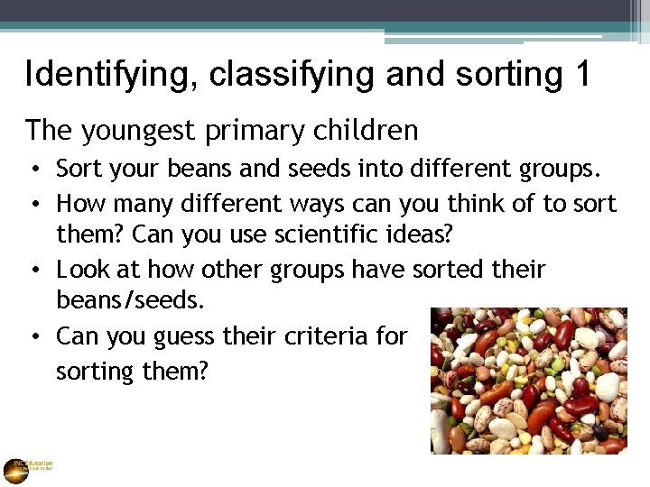 Identifying, classifying and sorting 1 The youngest primary children • Sort your beans and