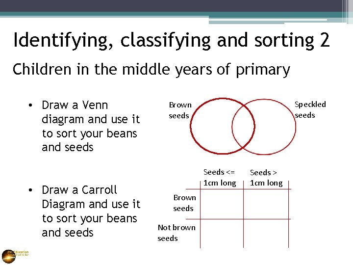 Identifying, classifying and sorting 2 Children in the middle years of primary • Draw