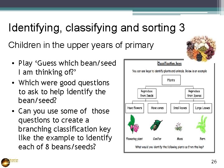 Identifying, classifying and sorting 3 Children in the upper years of primary • Play