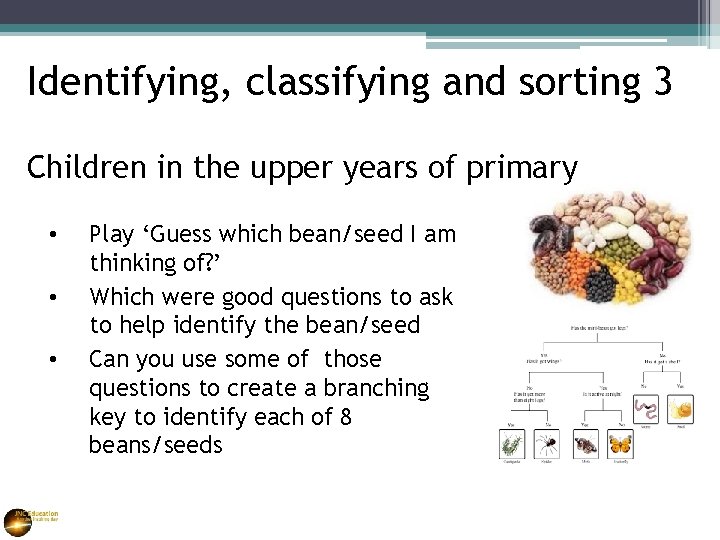 Identifying, classifying and sorting 3 Children in the upper years of primary • •