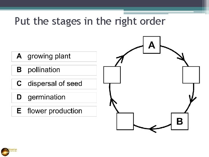 Put the stages in the right order 