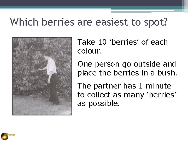 Which berries are easiest to spot? Take 10 ‘berries’ of each colour. One person
