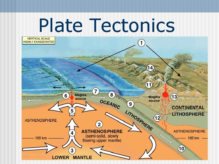 Plate Tectonics 