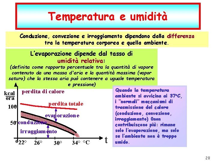 Temperatura e umidità Conduzione, convezione e irraggiamento dipendono dalla differenza tra la temperatura corporea