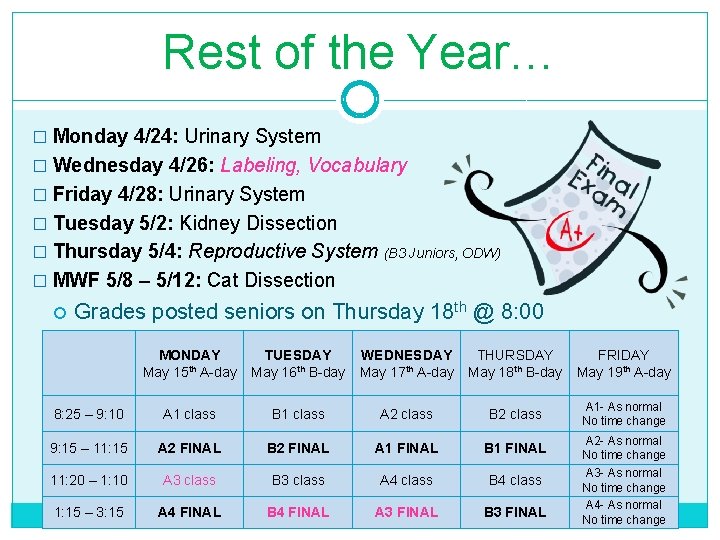 Rest of the Year… � Monday 4/24: Urinary System � Wednesday 4/26: Labeling, Vocabulary