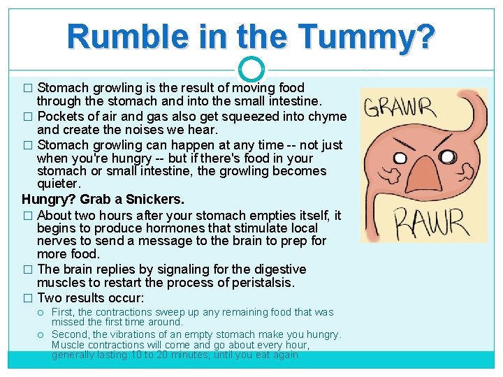 Rumble in the Tummy? � Stomach growling is the result of moving food through