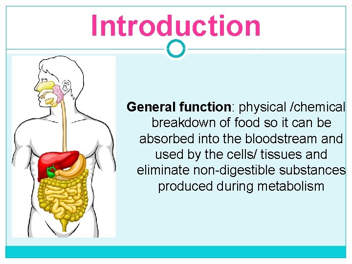 Introduction General function: physical /chemical breakdown of food so it can be absorbed into