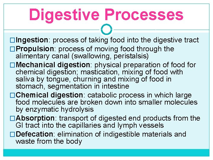 Digestive Processes �Ingestion: process of taking food into the digestive tract �Propulsion: process of
