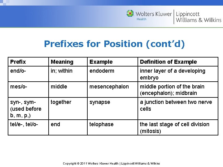 Prefixes for Position (cont’d) Prefix Meaning Example Definition of Example end/o- in; within endoderm