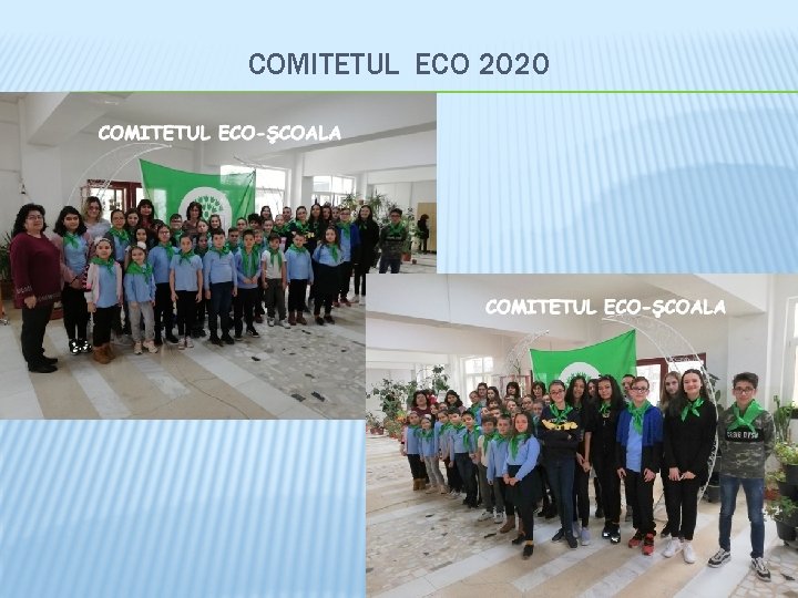 COMITETUL ECO 2020 