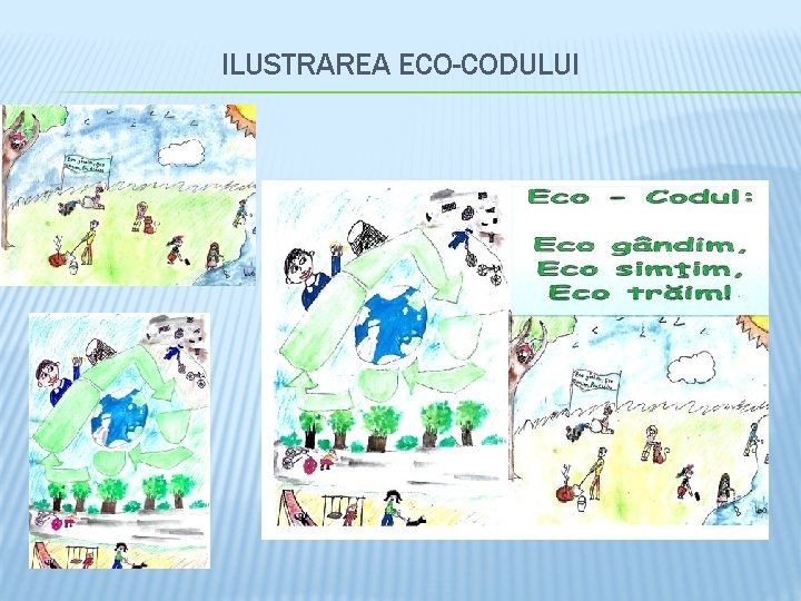 ILUSTRAREA ECO-CODULUI 