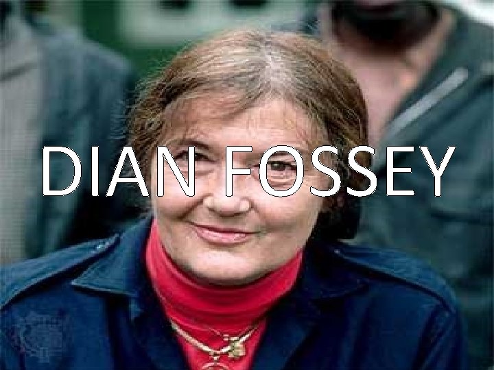 DIAN FOSSEY 