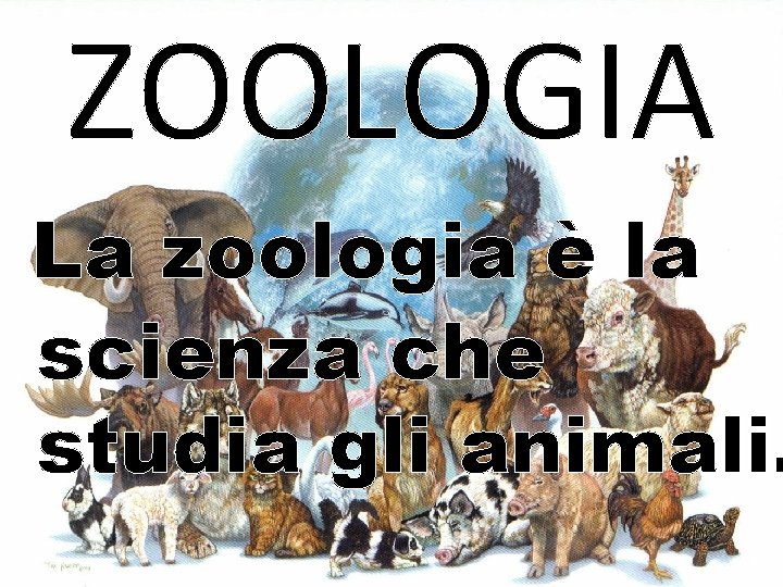 ZOOLOGIA La zoologia è la scienza che studia gli animali. ZOOLOGIA La zoologia è la scienza che studia gli animali.