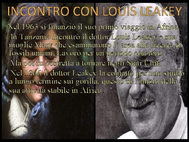 INCONTRO CON LOUIS LEAKEY Nel 1963 si finanziò il suo primo viaggio in Africa. INCONTRO CON LOUIS LEAKEY Nel 1963 si finanziò il suo primo viaggio in Africa.