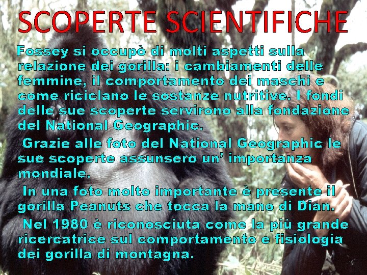 SCOPERTE SCIENTIFICHE Fossey si occupò di molti aspetti sulla relazione dei gorilla: i cambiamenti