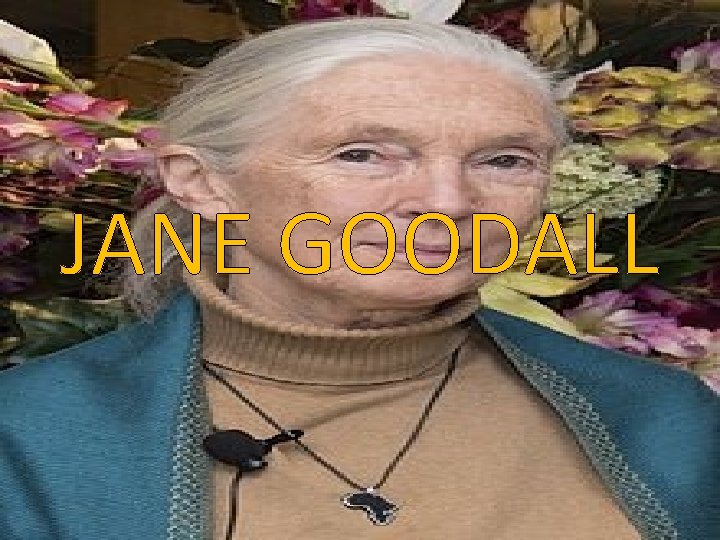 JANE GOODALL JANE GOODALL