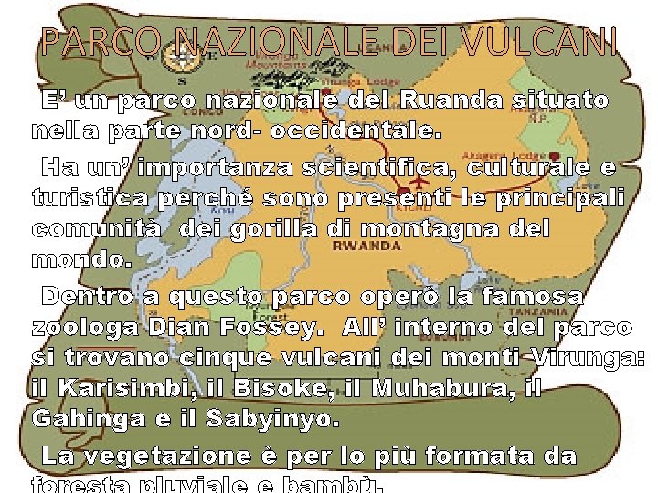 PARCO NAZIONALE DEI VULCANI E’ un parco nazionale del Ruanda situato nella parte nord-