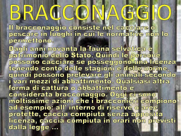 BRACCONAGGIO Il bracconaggio consiste nel cacciare o pescare in luoghi in cui le normative