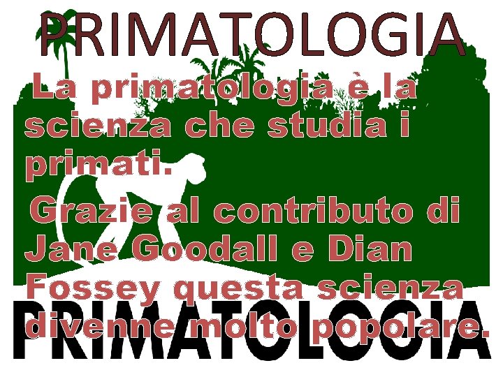PRIMATOLOGIA La primatologia è la scienza che studia i primati. Grazie al contributo di PRIMATOLOGIA La primatologia è la scienza che studia i primati. Grazie al contributo di