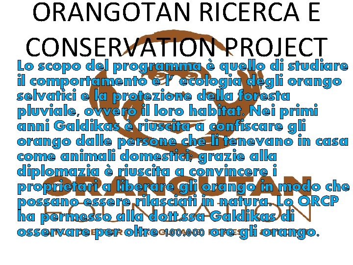 ORANGOTAN RICERCA E CONSERVATION PROJECT Lo scopo del programma è quello di studiare il