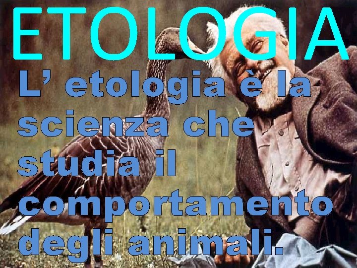 ETOLOGIA L’ etologia è la scienza che studia il comportamento degli animali. 