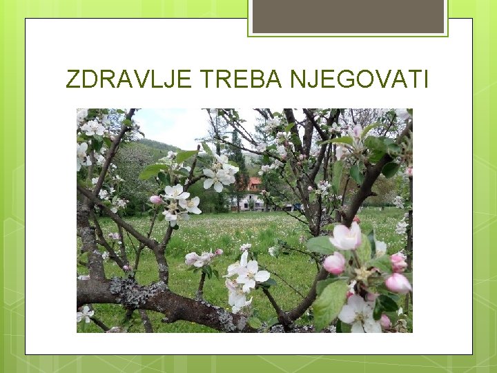 ZDRAVLJE TREBA NJEGOVATI 