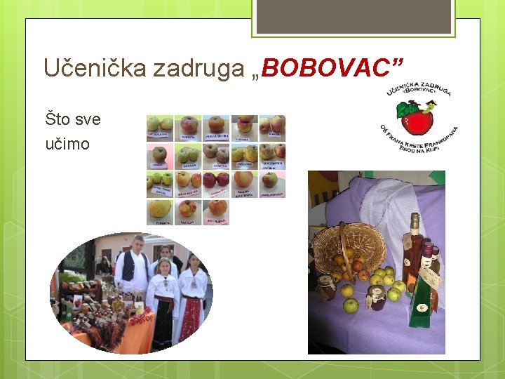 Učenička zadruga „BOBOVAC” Što sve učimo 