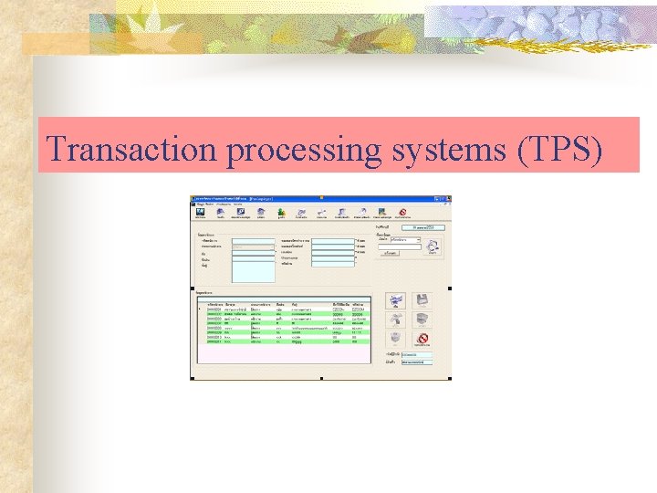 Transaction processing systems (TPS) 