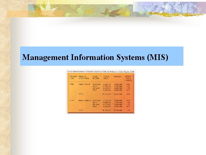 Management Information Systems (MIS) 