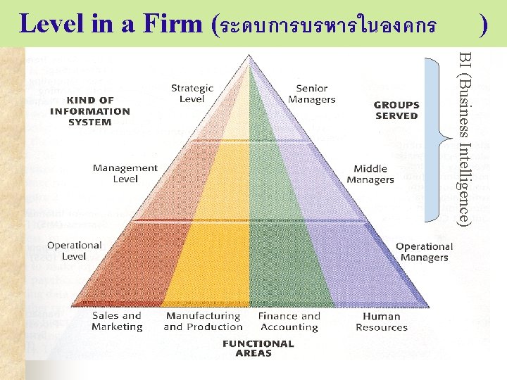 Level in a Firm (ระดบการบรหารในองคกร ) BI (Business Intelligence) 