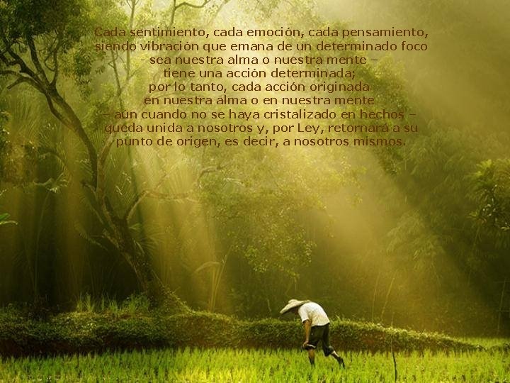 Cada sentimiento, cada emoción, cada pensamiento, siendo vibración que emana de un determinado foco Cada sentimiento, cada emoción, cada pensamiento, siendo vibración que emana de un determinado foco