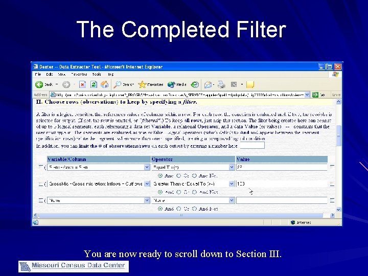 The Completed Filter You are now ready to scroll down to Section III. 