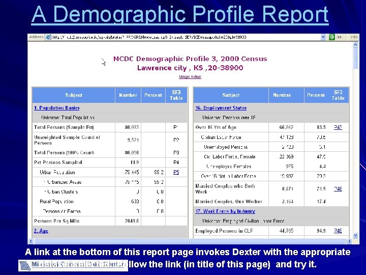 A Demographic Profile Report A link at the bottom of this report page invokes