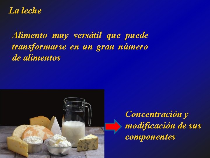 La leche Alimento muy versátil que puede transformarse en un gran número de alimentos