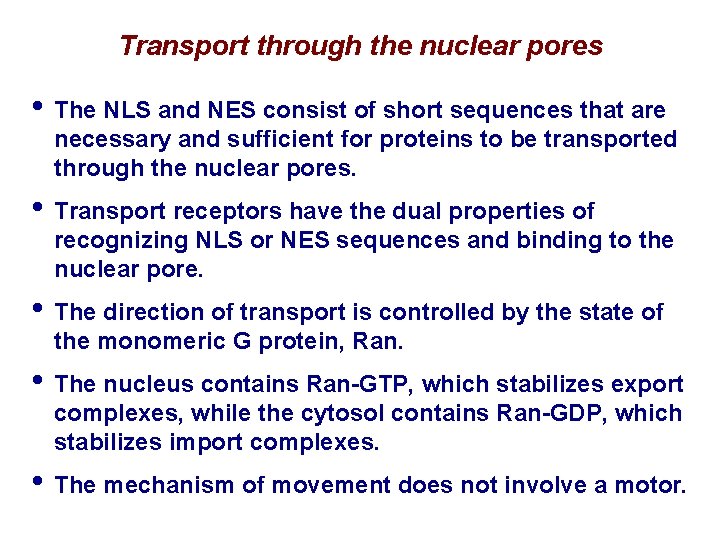 Transport through the nuclear pores • The NLS and NES consist of short sequences